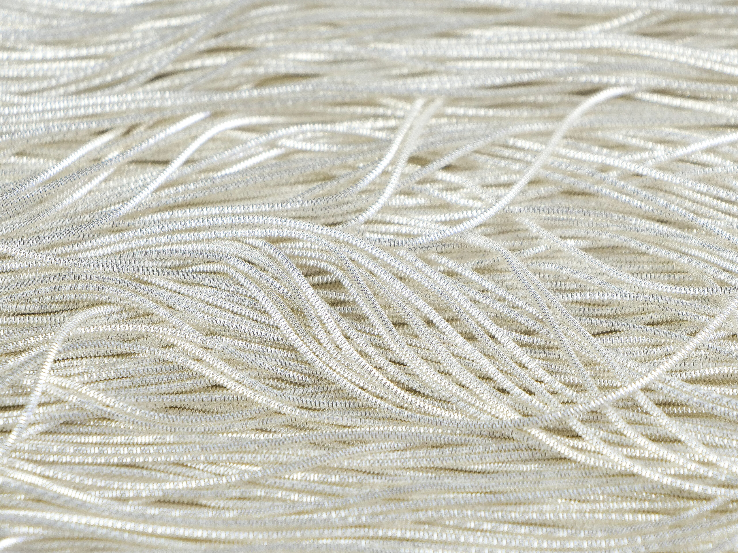 P1003065